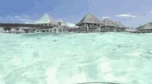 Tahiti Beach GIF - Tahiti Beach GIFs