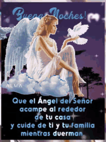 Buenas Noches Angel GIF - Buenas Noches Angel Dove GIFs