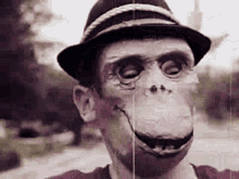 Weird Monkey Masks GIF - Weird Monkey Masks Monkey Boy GIFs