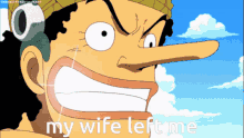 one piece colin usopp my wife left me smile