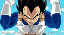 Vegeta Dragon Ball Super GIF - Vegeta Dragon Ball Super Super Saiyan Blue GIFs