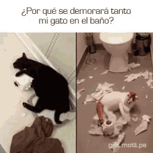 Por Qué Se Demorará Tanto Mi Gato En El Baño GIF - Gato En El Baño GIFs