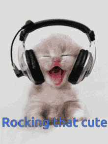 Cute Kitten GIF - Cute Kitten Headphones GIFs