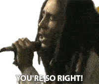 Youre So Right Bob Marley Sticker - Youre So Right Bob Marley Correct Stickers