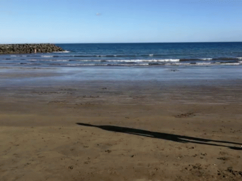 https://c.tenor.com/T-V4IQ0aXDQAAAAC/gc2018-flip.gif