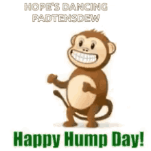 hump day monkey dance