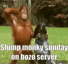 Bozo Server GIF - Bozo Server Slump GIFs