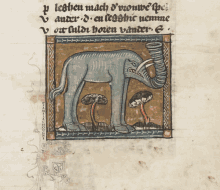 manuscrit elephant chougne pamela chougne