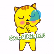 yellow cat big eyes good night night.night yellow cat big eyes good night night.night