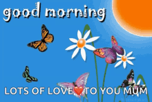 good morning butterfly flowers lots of love mum love