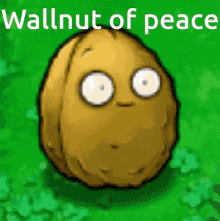 Wallnut GIF - Wallnut GIFs