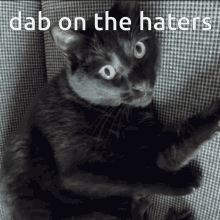 Dab On The Haters Black Cat GIF - Dab On The Haters Black Cat Cat GIFs