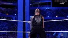 Roman Reigns Spear GIF - Roman Reigns Spear The Undertaker GIFs