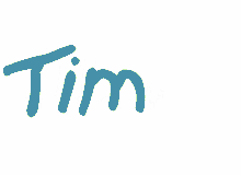 Tim Tim Name GIF - Tim Tim Name Name GIFs