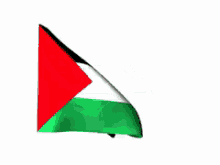 palestine-flag.gif