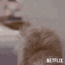 Look Excited GIF - Look Excited Happy GIFs