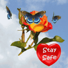 Stay Safe Keep It Safe GIF - Stay Safe Keep It Safe Stay Home GIFs