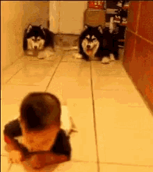 cute hurry