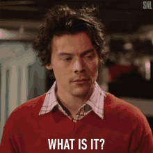 What Is It Curious GIF - What Is It Curious Confused GIFs