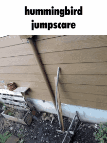 Jumpscare Boo GIF - Jumpscare Boo Spooky GIFs