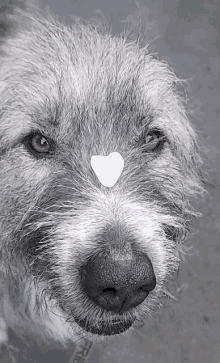 Kratu Love GIF - Kratu Love Heart GIFs