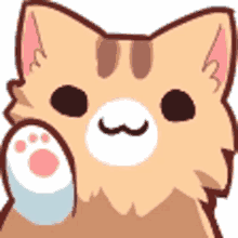 kitty hi