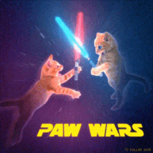 Paw Wars Kittens GIF - Paw Wars Kittens Cats GIFs