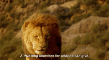 The Lion King Mufasa GIF - The Lion King Mufasa A True King Searches The What He Can Give GIFs