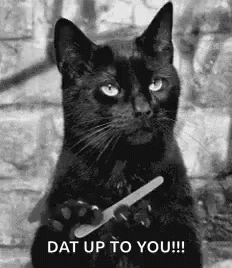 Dat Up To You Cat GIF - Dat Up To You Cat Salem GIFs