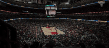 Crowd Game On GIF - Crowd Game On Arena GIFs