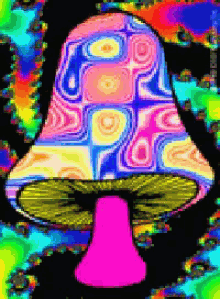 Shroom Psychedelic GIF - Shroom Psychedelic Trippy GIFs