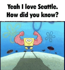 Seattle Love How Did You Know GIF - Seattle Love How Did You Know GIFs