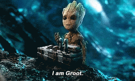 real-groot-i-am-groot.gif