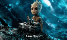 Real Groot I Am Groot GIF - Real Groot I Am Groot Guardians Of The Galaxy GIFs