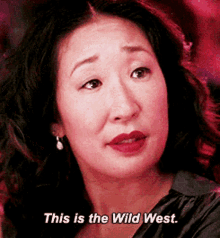Greys Anatomy Cristina Yang GIF - Greys Anatomy Cristina Yang This Is The Wild West GIFs
