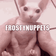 Frosty Nuppets GIF - Frosty Nuppets Henry GIFs