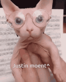 Justin Justin Moment GIF - Justin Justin Moment Justin Ly GIFs