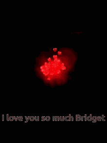 Bridget Iloveyoubridget GIF - Bridget Iloveyoubridget GIFs