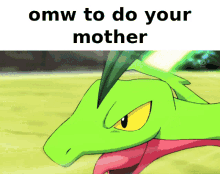 grovyle pokemon pmd pmd eos your mother