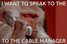 speak to the manager cable management cable manager i want to speak to the manager monkey phone