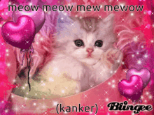 kanker kat meow mew mow kanker meow