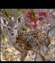 I Am Fawn Of You Cute Fawn Message GIF - I Am Fawn Of You Cute Fawn Message Animal Valentines Day Gif GIFs