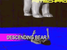 Descending Bear GIF - Descending Bear 3d GIFs