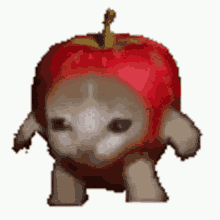 apple funny memes meme cat apple funny memes meme cat