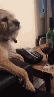 wine boss