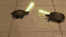 Turtles Cute GIF - Turtles Cute Star Wars GIFs