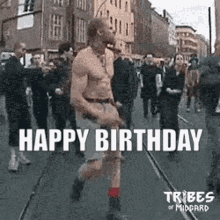 Happy Birthday Viking Gifs Tenor