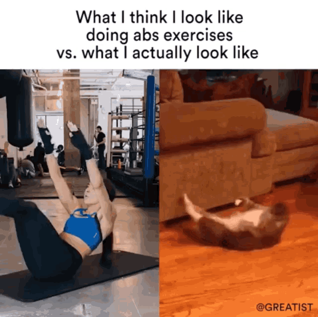 Crunches Working Out GIF Crunches Working Out Cat Crunches Discover