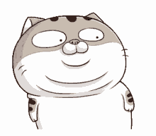 ami fat cat what move back huh surprised
