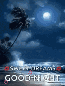 sweet dreams good night my sweet dreams good night my